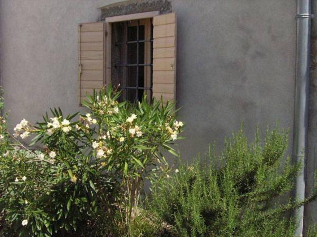 Flori Adriatic Villa Marezige Room photo